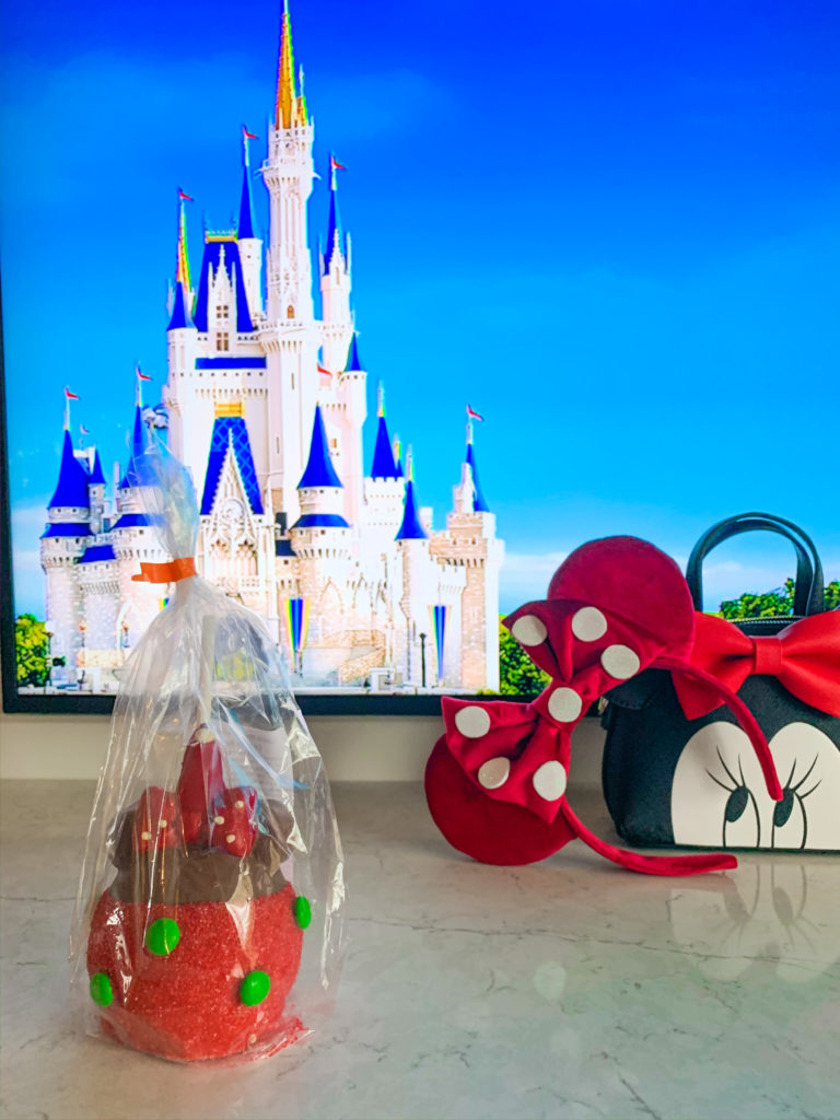 Walt Disney World Snacks