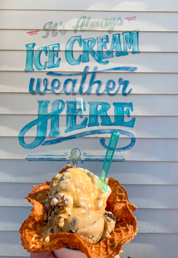 Walt Disney World Snacks