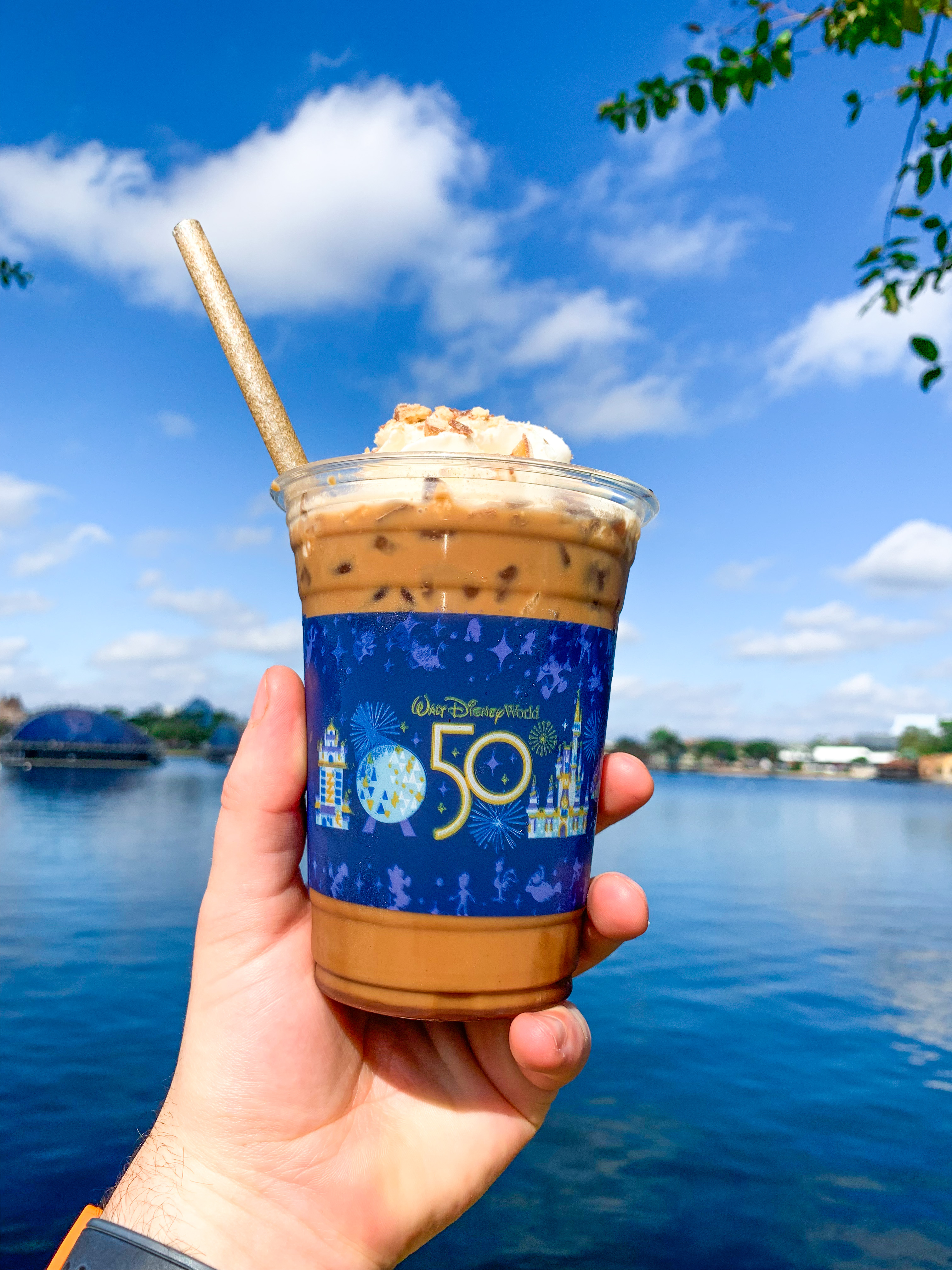 Epcot Festival of the Holidays