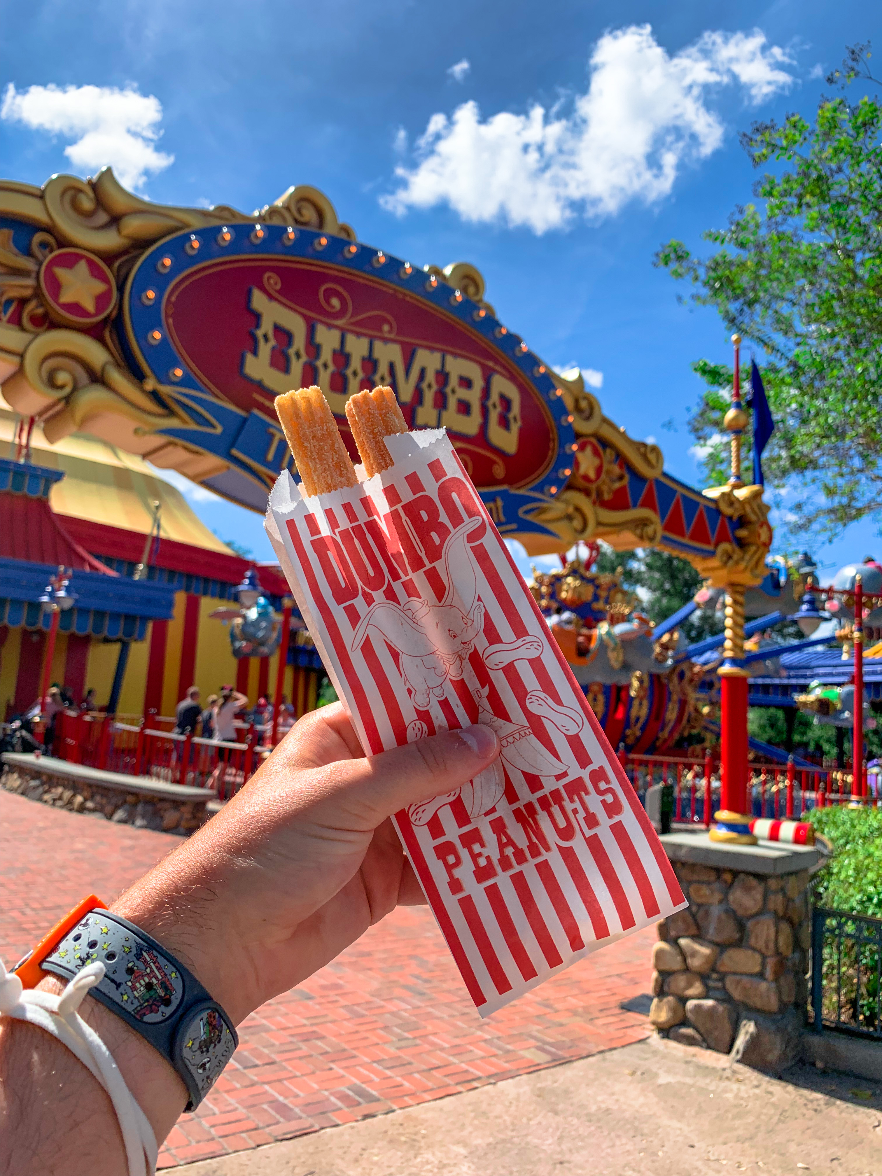 Walt Disney World Snacks