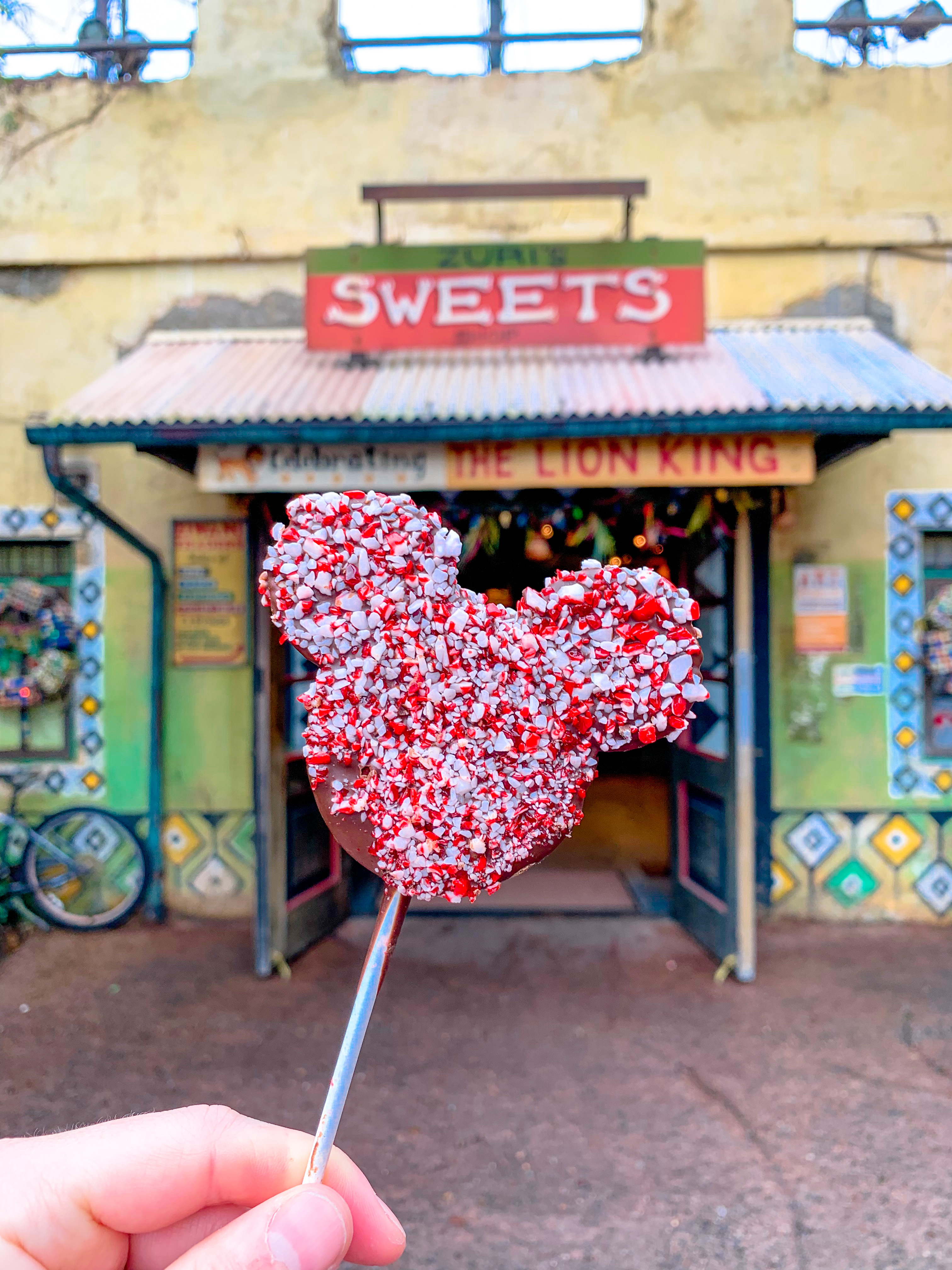 Walt Disney World Snacks