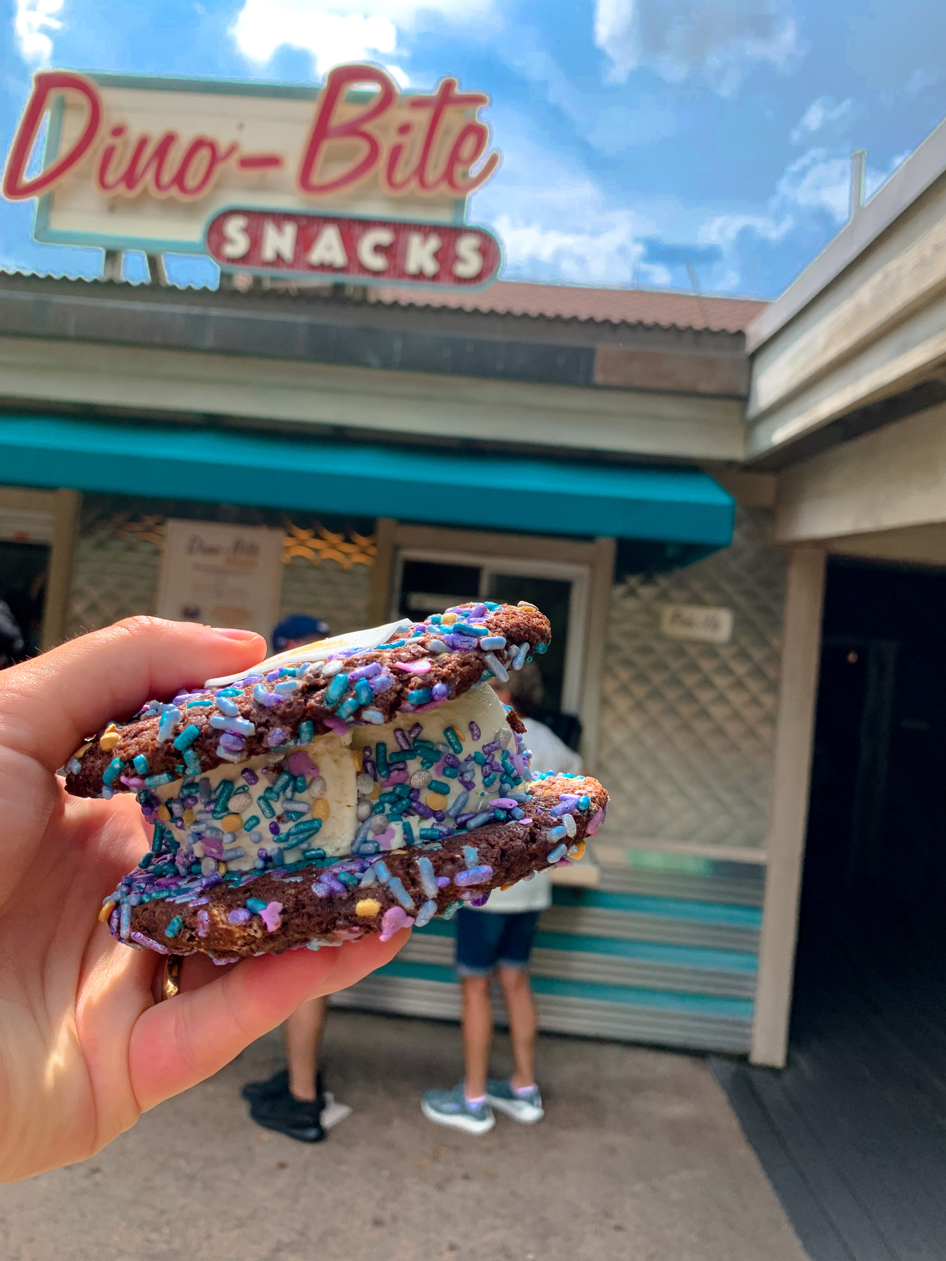 Walt Disney World Snacks