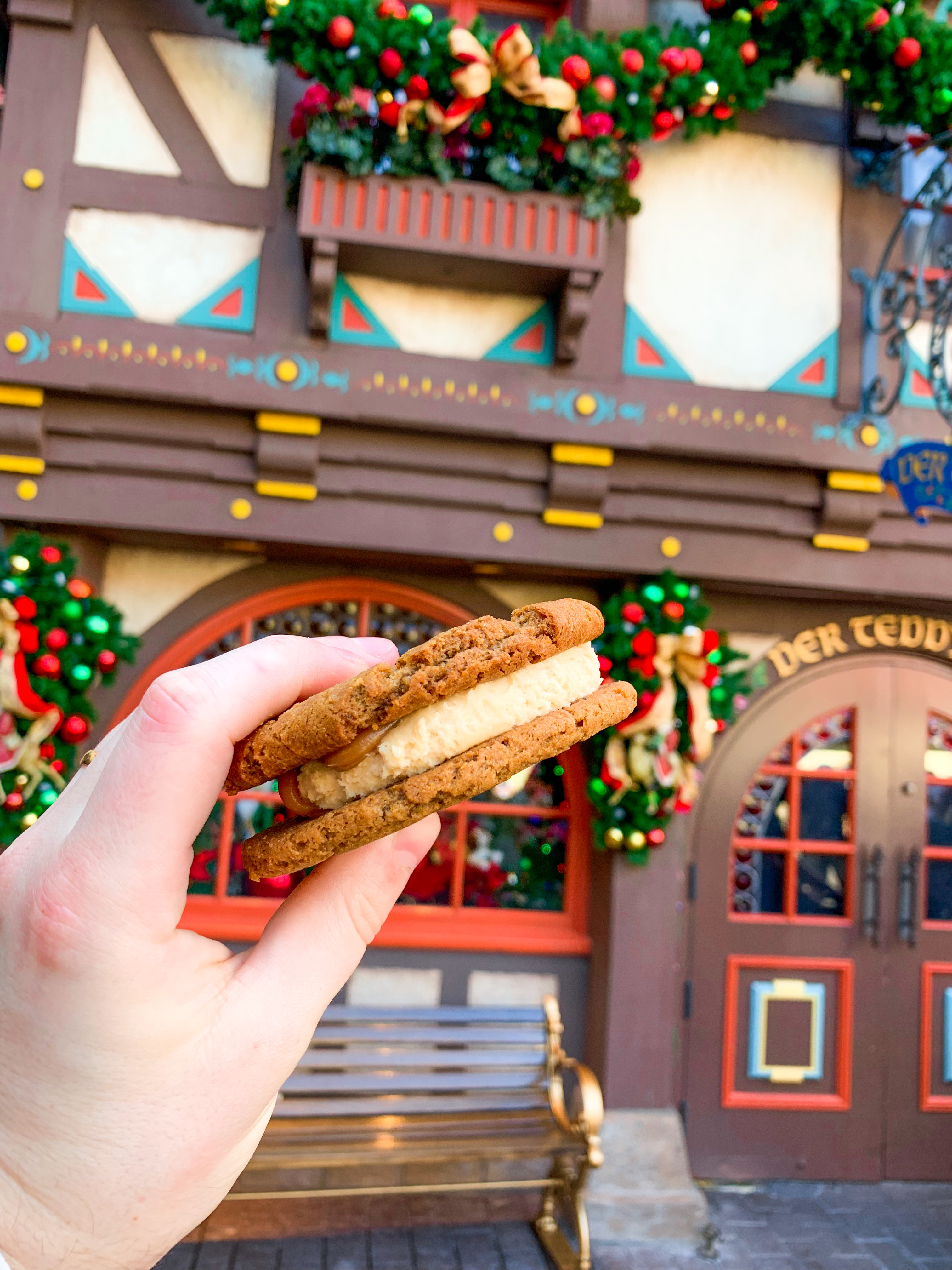 Epcot Festival of the Holidays