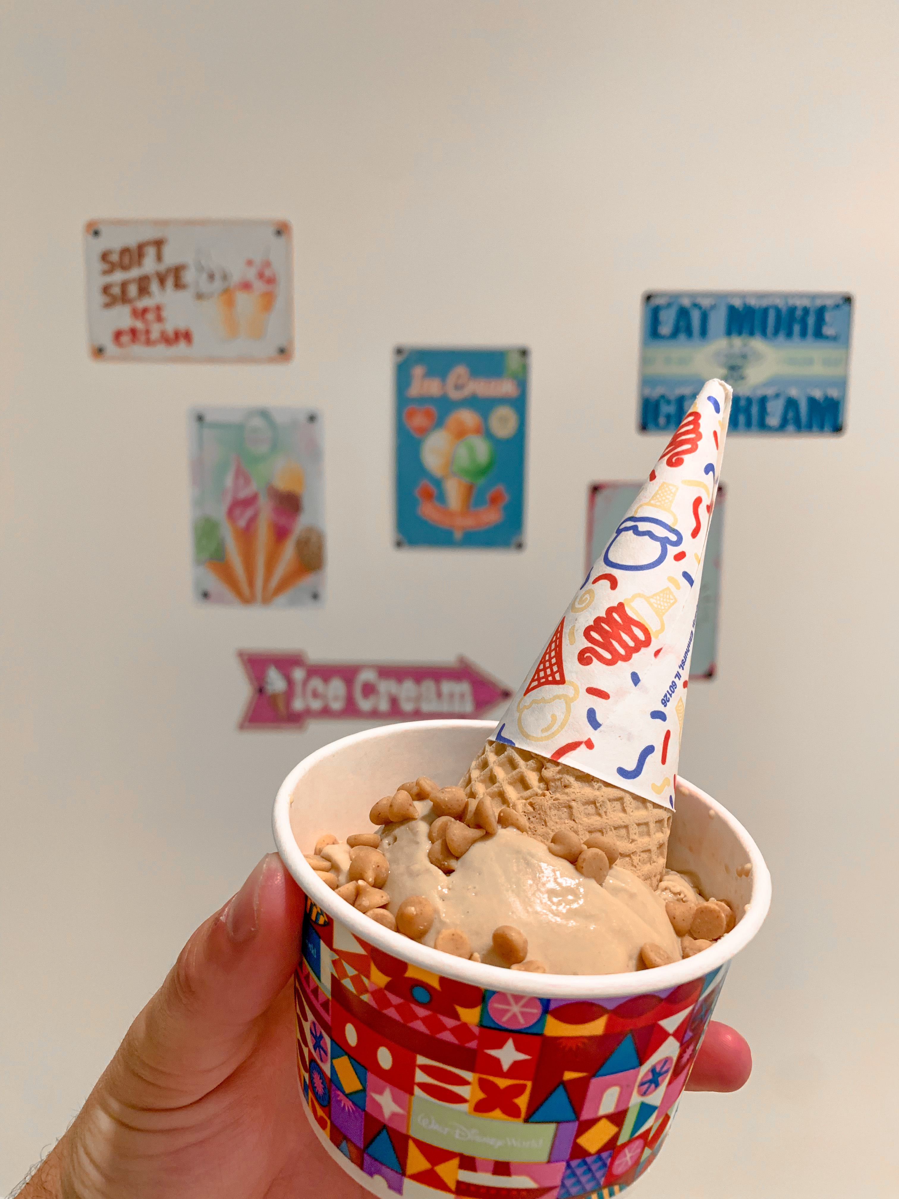 Walt Disney World Snacks